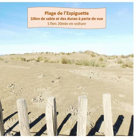 Suite Thalassa 1Ere Ligne Plages Du Couchant Wifi - Rossiconciergerie - Linge Inclus La Grande-Motte Exterior photo