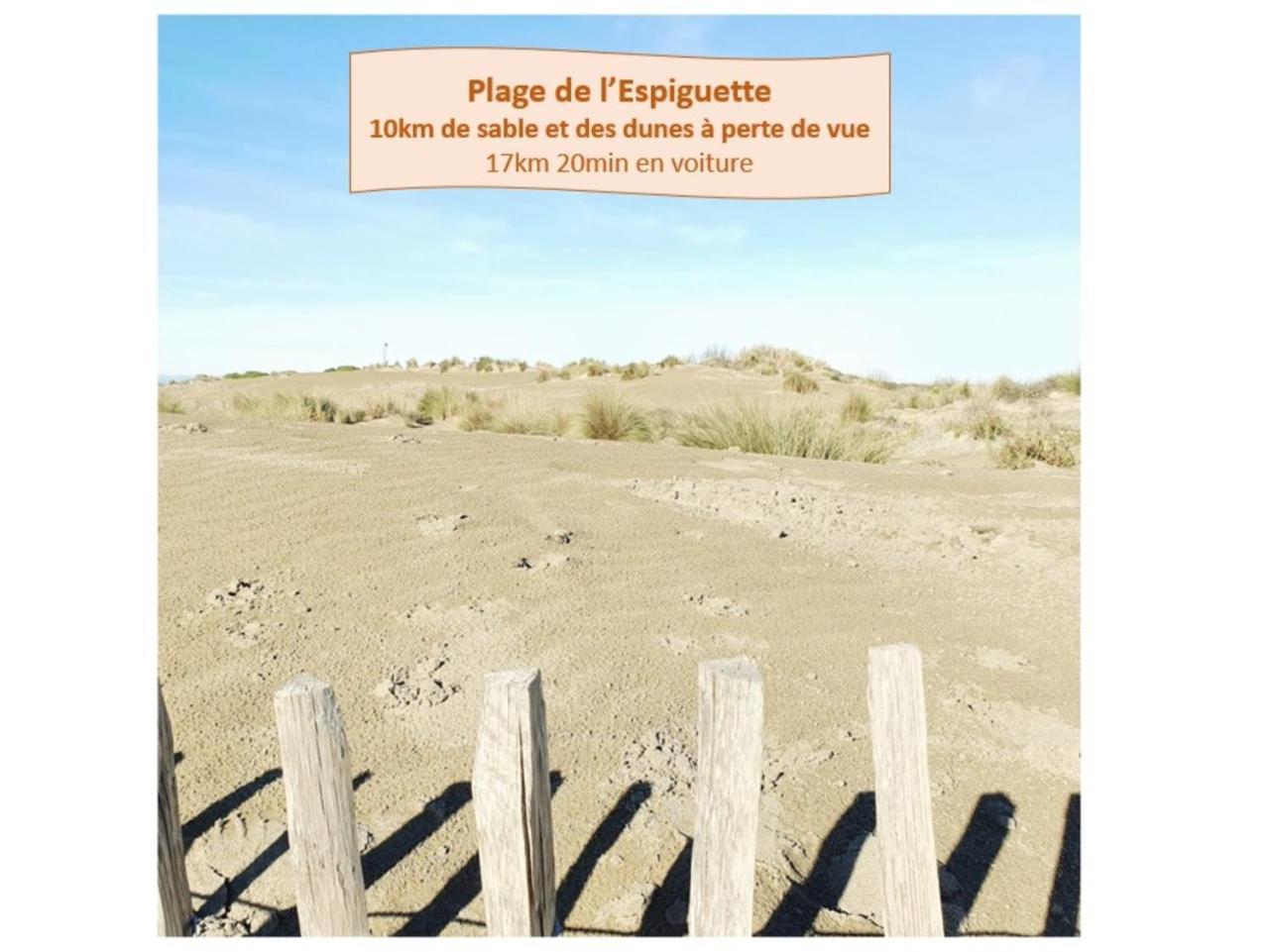 Suite Thalassa 1Ere Ligne Plages Du Couchant Wifi - Rossiconciergerie - Linge Inclus La Grande-Motte Exterior photo